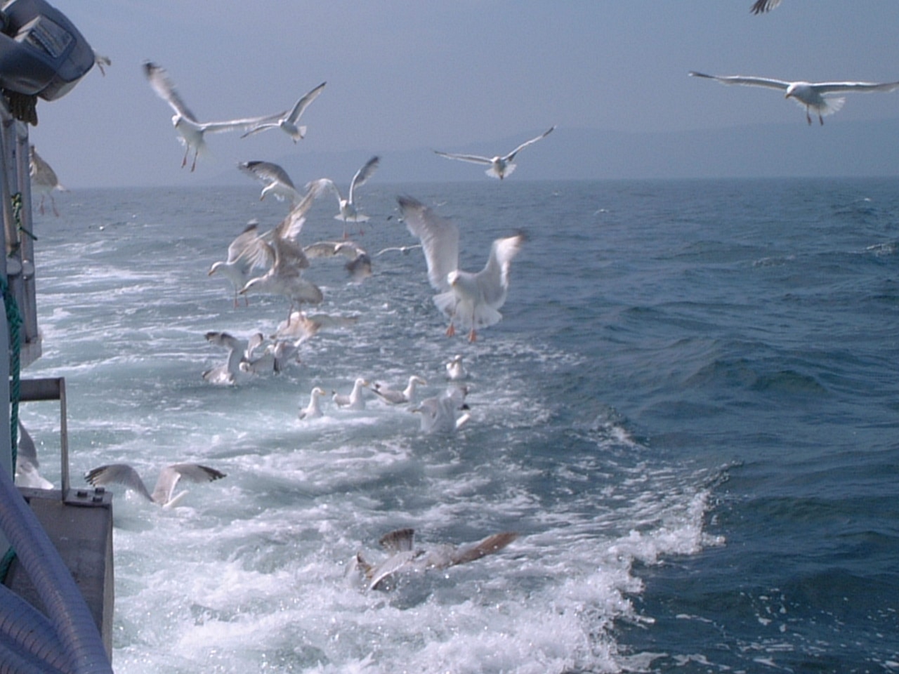 Gallery Britannia The Beach